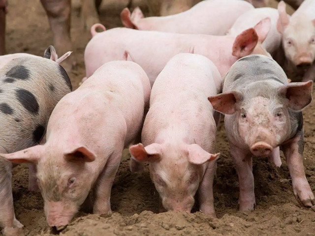 ＾ҪעʲôƺҪһҪĵ