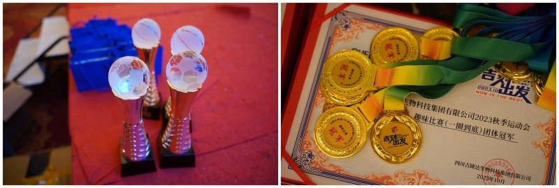 3377ڼ2023＾˶26곧Ƭ