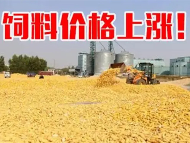 ںϼ۸ٴϳҲп࣡ﶬҪԵøˣ