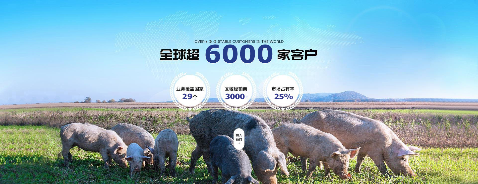 3377体育入口-饲料添加剂招商