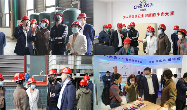 ͨɷݴι3377л΢Ԫع