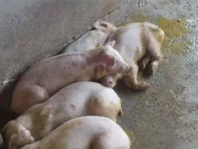 2022궬к֢״ղأ