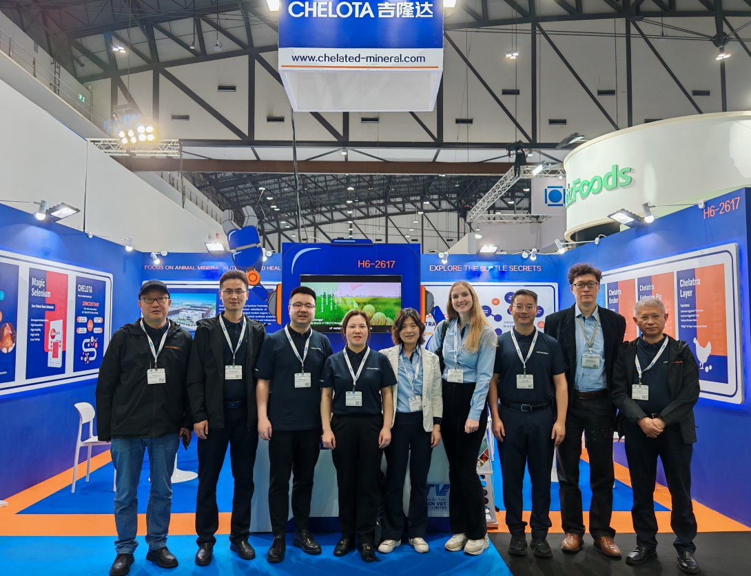 ̩ˣCHELOTA3377VIVޣ̩ʼԼչ