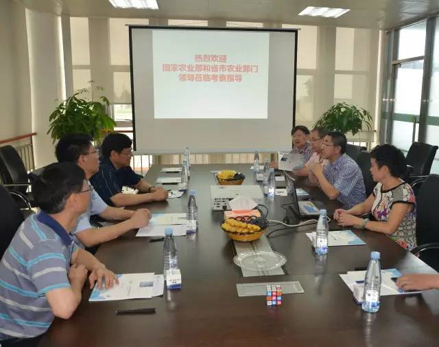 ũҵ쵼ŵ3377ڼŲιۿ